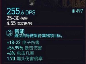 赛博朋克2077，全五把稀有不朽步枪的高效资源管理策略