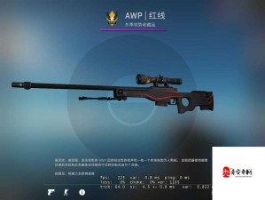 日本 csgo 大姐姐 awp：狙杀全场的致命女神