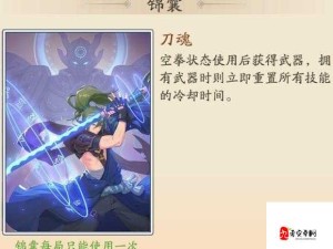 风云岛行动秘籍，解锁战斗高手的隐藏技巧与策略