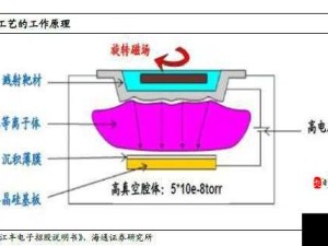 zhangjinyu 提取之关于其详细介绍与深度分析