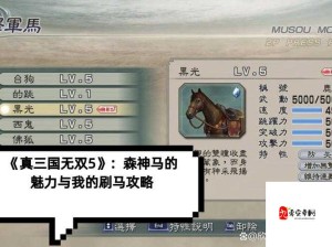 真三国无双5游戏内高效刷马技巧全面解析