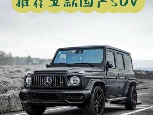 国产 SUV 精品一区二区五，带给你不一样的驾驶体验