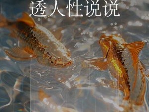 山村性快乐乱：人性的迷失与救赎