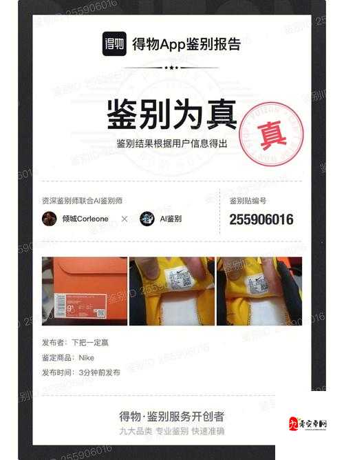 鉴定师 app 免费网站入口：鉴定真伪，轻松无忧