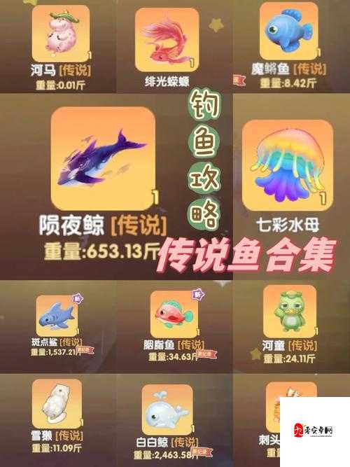 摩尔庄园魔枪鱼位置，资源管理、高效利用与最大化价值