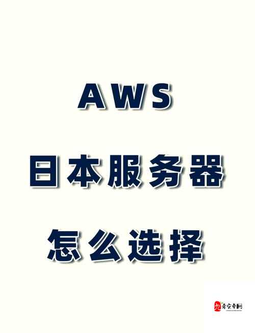 日本 VPS Windows 樱桃的独特魅力与应用场景探讨