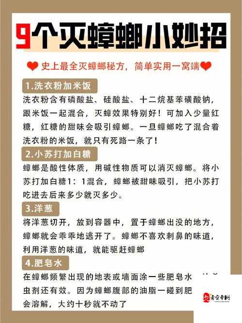 小扫货水叫出来最简单处理：实用技巧与详细步骤解析