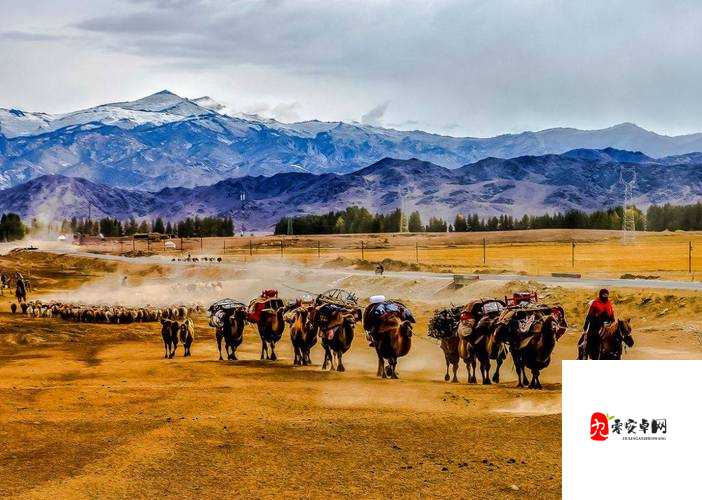 中国大但人文艺术-摄影：展现中华大地的独特魅力与风情