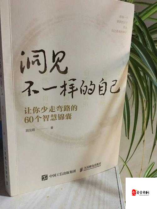 bgmbgmbgm日本老妇人：一段不为人知的人生故事