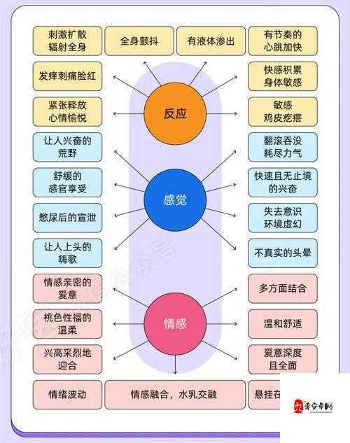 高潮体验：探索性愉悦的极致境界